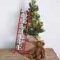 Metal "Believe" Ladder Wall Decorative Sign